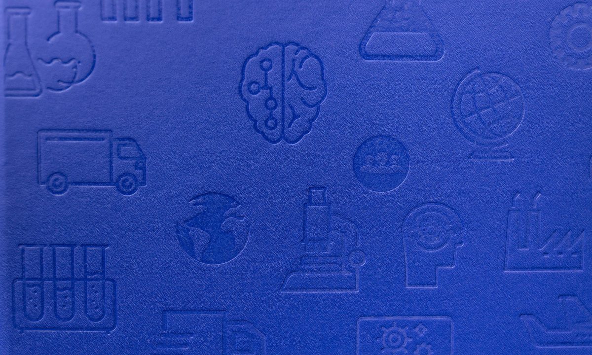 Programa operacional de competitividade e internacionalização Compete 2020 Merchandising